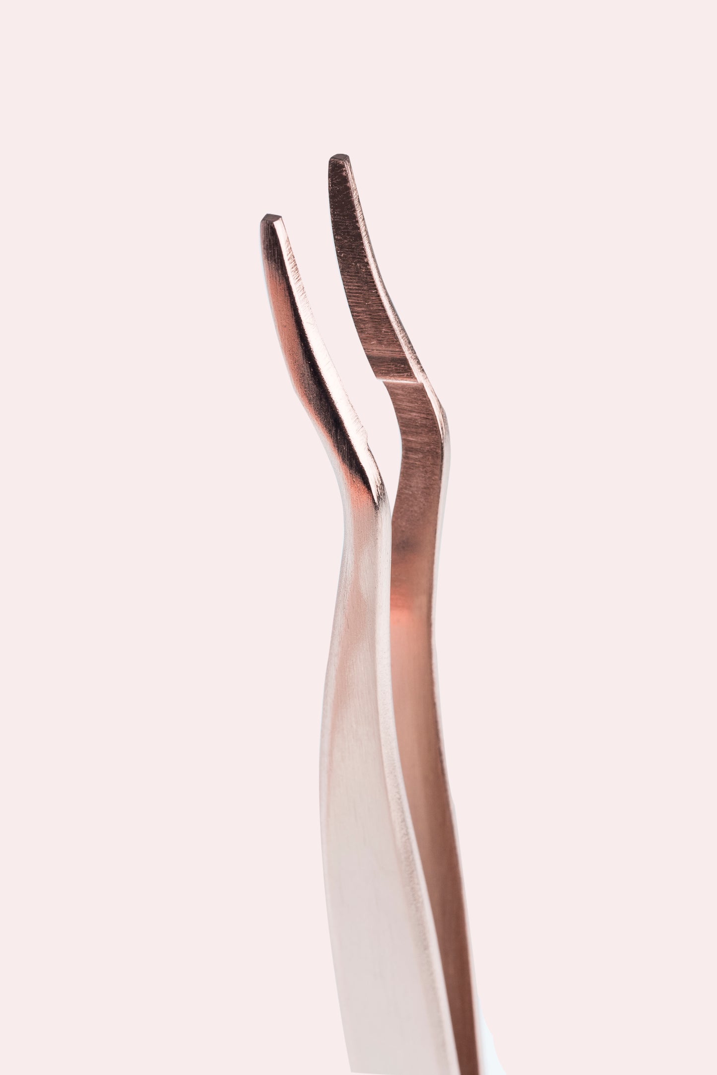FALSE LASHES APPLICATOR - Teviant Beauty