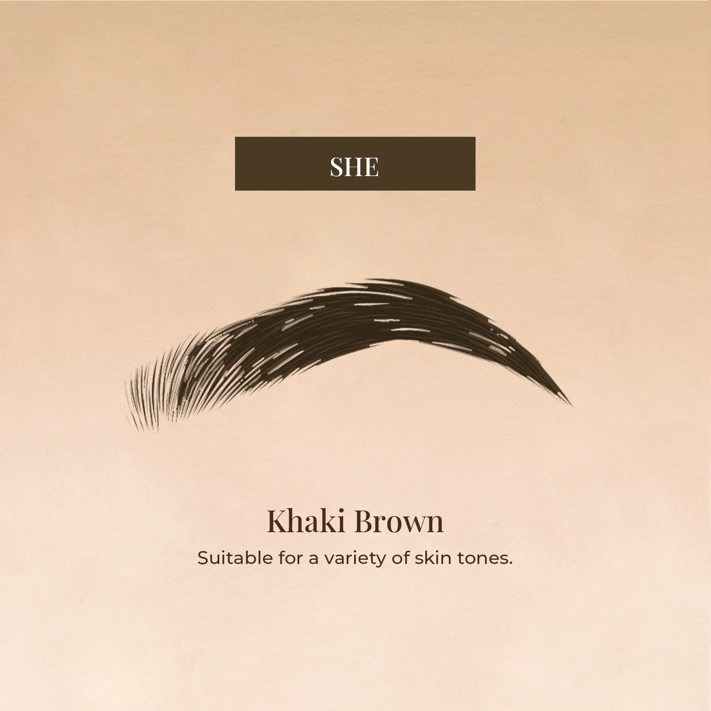 Eyebrow Tint-She
