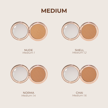 The Ultimate Skin Master Silk Touch Perfecting Powder