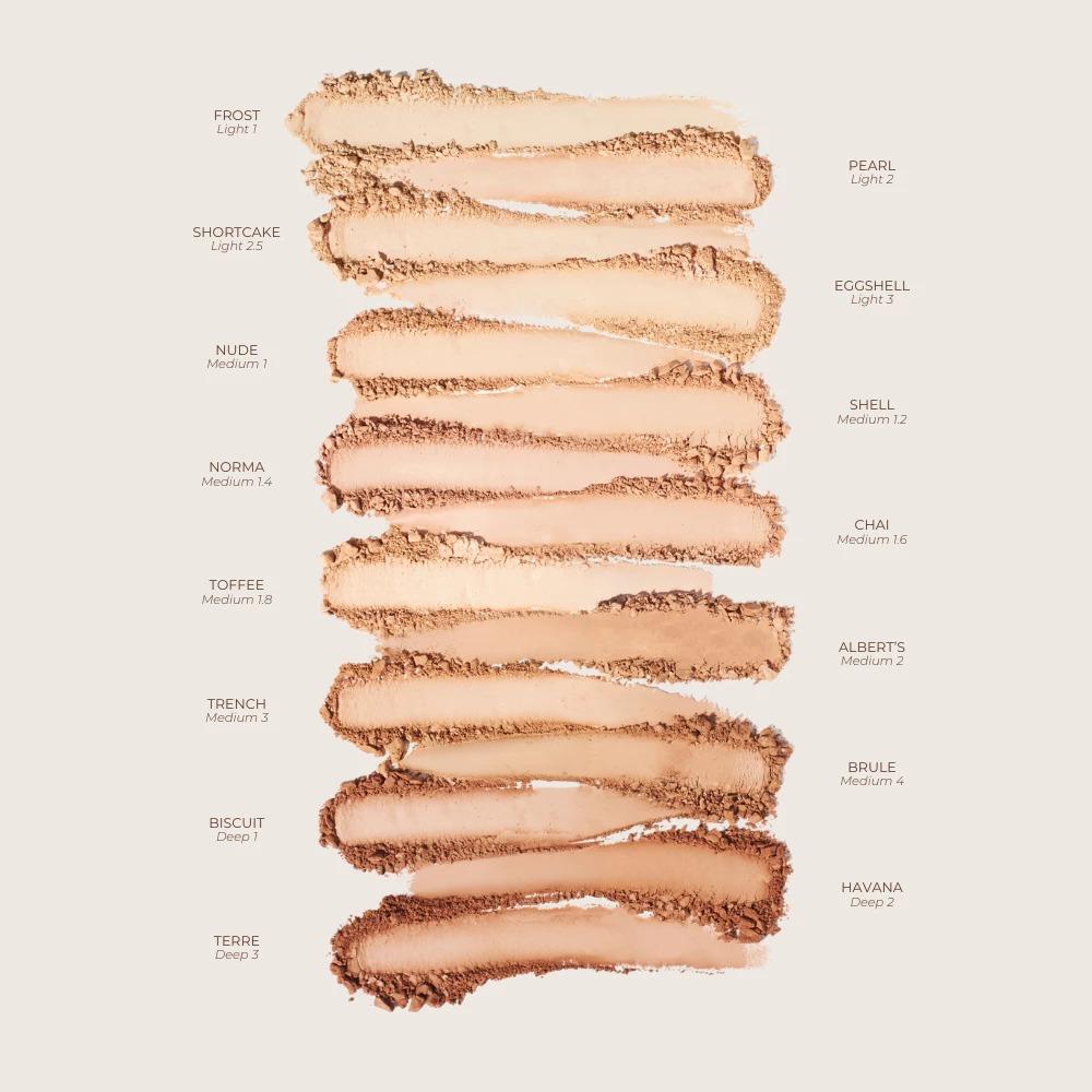 LUXE FINISH B (Cushion Complete Set + Silk Touch Perfecting Powder + Loose Powder + Detailed Face Brush + Beauty Blender) - Teviant Beauty